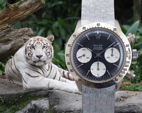 rolex watch dubbed the unicorn|Rolex daytona reference 626 unicorn.